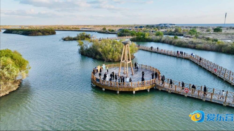 的重要原因 的重要原因