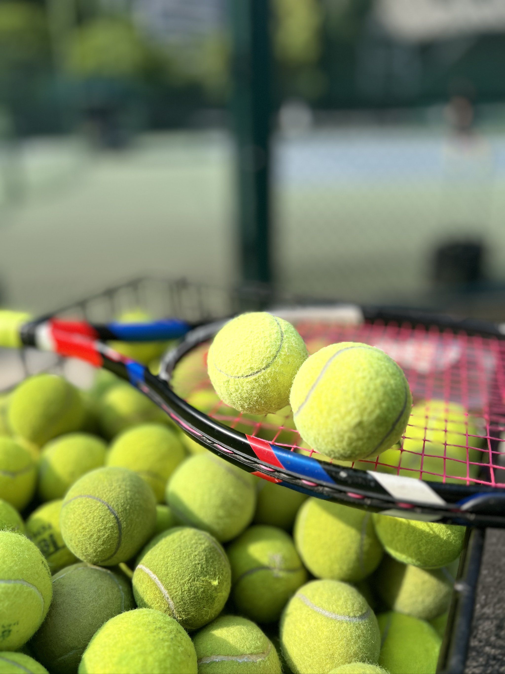 与中国本地 与中国本地