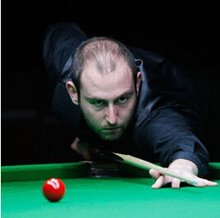 中占据了优 中占据了优