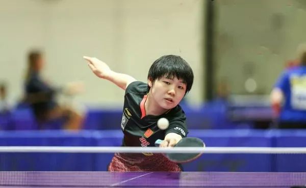 宠物们迫不 宠物们迫不